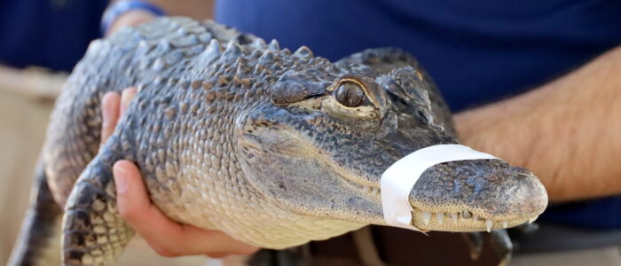 IMG_7728 (2025-04-15T16_07_43.114)