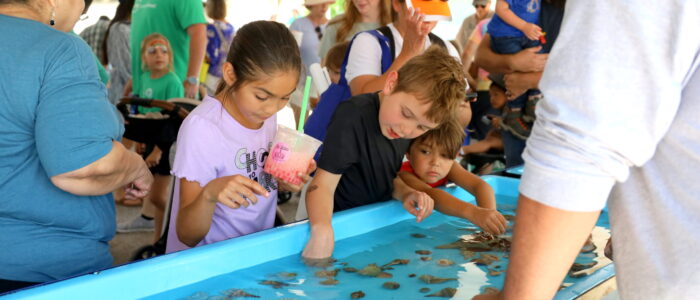 IMG_8155 (2025-04-15T16_12_23.971)