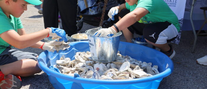 IMG_8269 (2025-04-15T16_13_31.704)