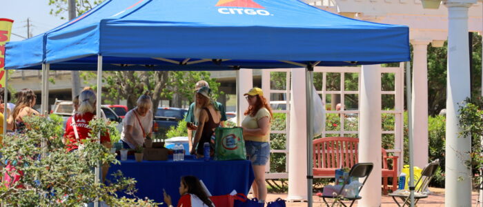 IMG_8889 (2025-04-15T16_21_01.572)