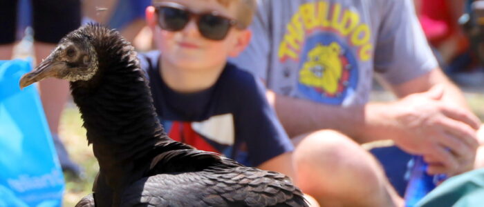 IMG_9546 (2025-04-15T16_26_58.383)