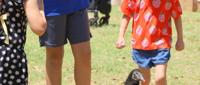 IMG_9593 (2025-04-15T16_27_20.791)