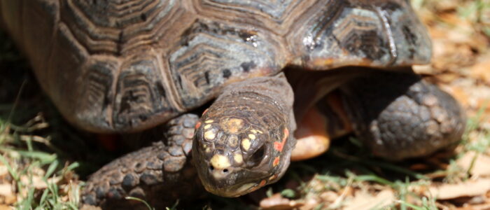 IMG_9892 (2025-04-15T16_28_05.675)